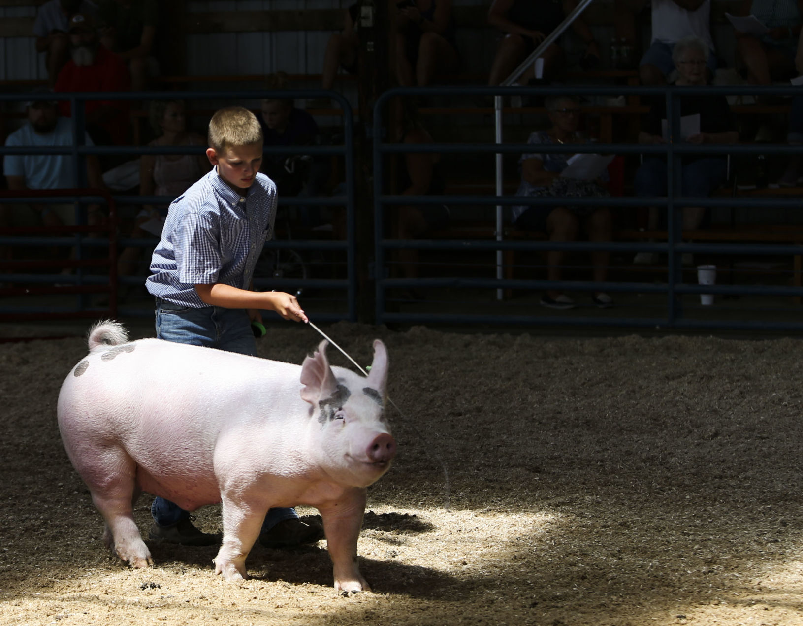 080921-qc-nws-fair-18.JPG
